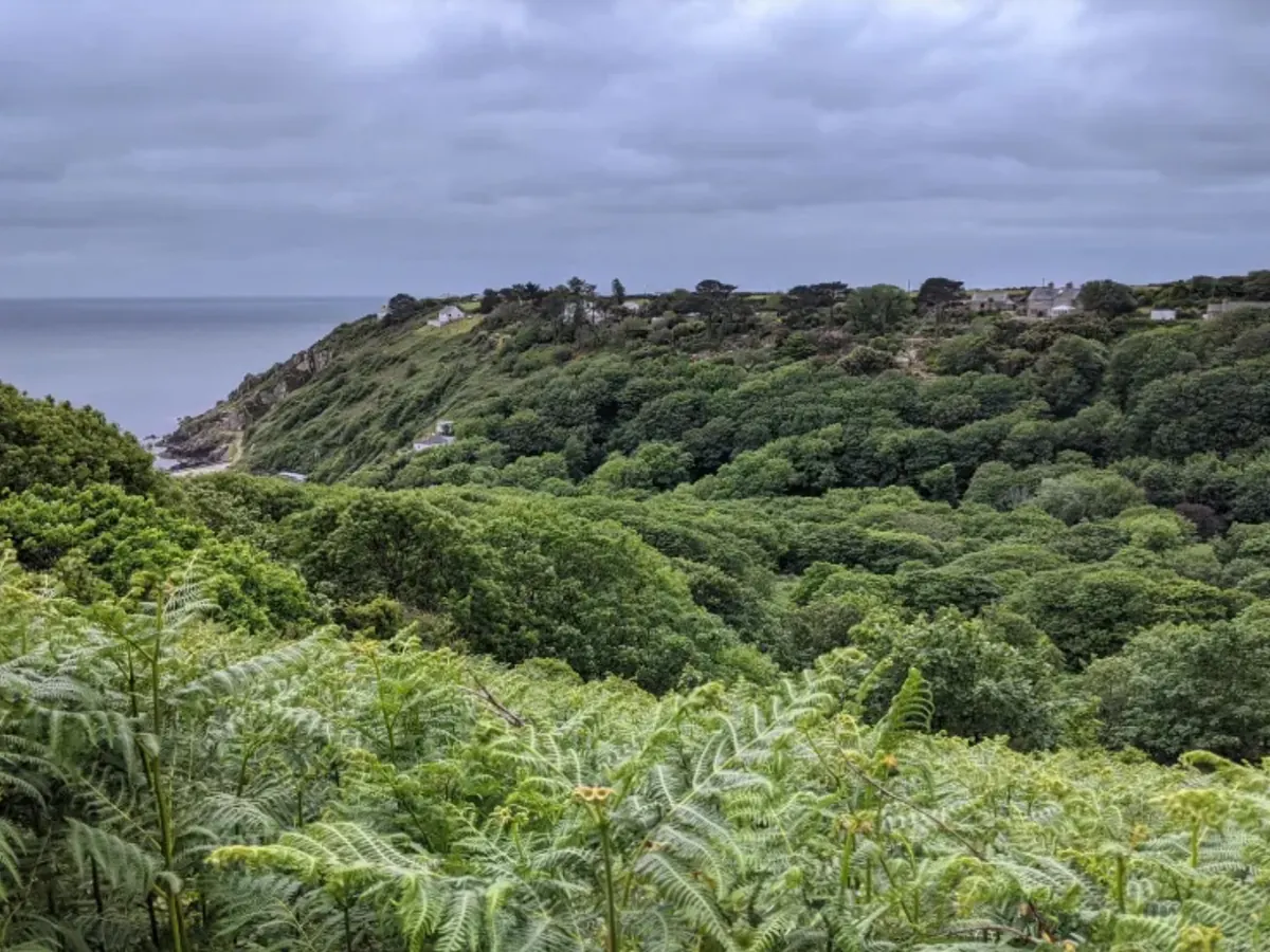 View across Lamorna Valley near Menwinnion Country House